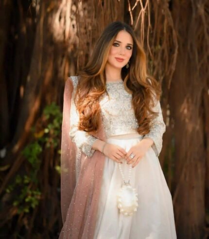 formal luxury festive collection 2024 by shop with Namra