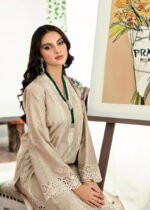 Nam's Lawn 3PC Chickenkari Embroidered Shirt With Print Shawl-323 - Image 5