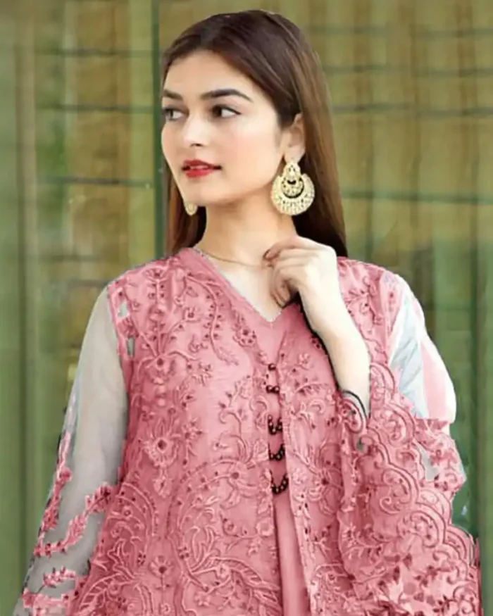 Nam's Organza Lawn 2PC Embroidered-566 - Image 2